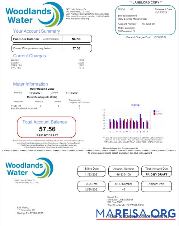 Downloadable USA WOODLANDS WATER utility bill Word and PDF template